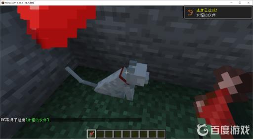 我的世界如何驯服一只猫?3