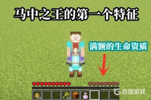 我的世界极品马的特点是什么?2