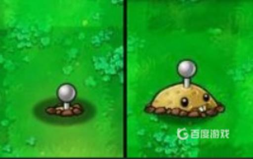 植物大战僵尸植物被冻住怎么办?2