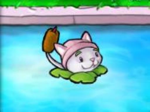 植物大战僵尸植物的用法是什么?43