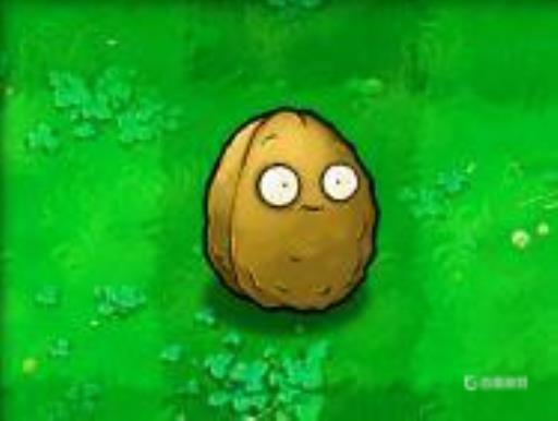 植物大战僵尸1植物顺序表是什么?4