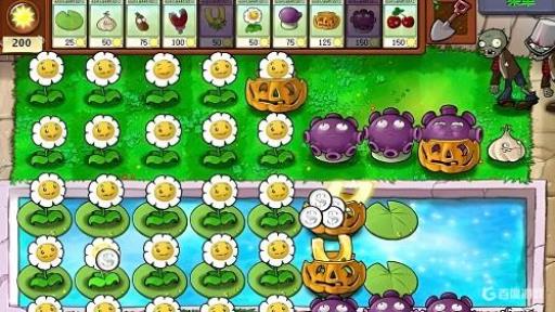 植物大战僵尸95怎么刷金币?2