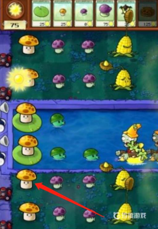 植物大战僵尸雾天用什么植物?2