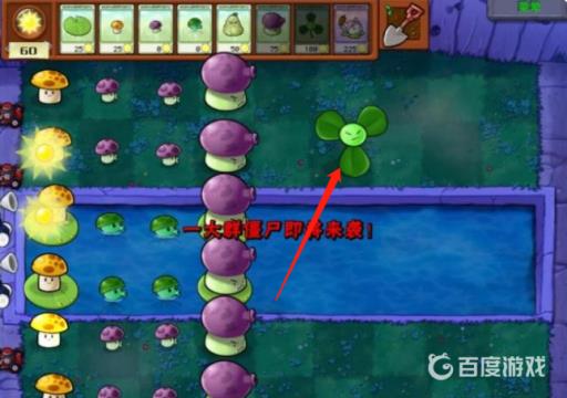 植物大战僵尸雾天用什么植物?5