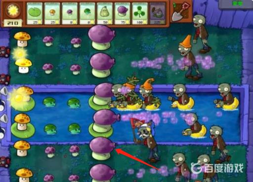 植物大战僵尸雾天用什么植物?6