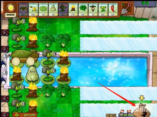 植物大战僵尸暴风雪僵尸怎么阻挡?6