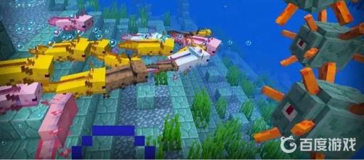 我的世界娃娃鱼怎么养?1