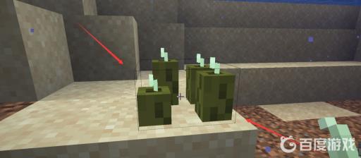 我的世界海泡菜怎么繁殖?3