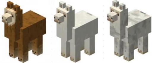 我的世界羊驼怎么驯服怎么骑?2