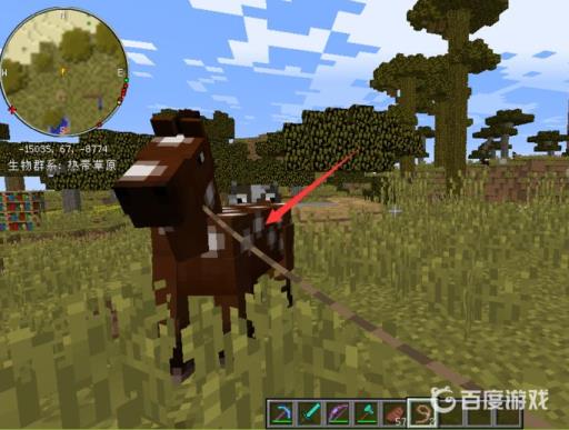 我的世界拴绳如何做?4