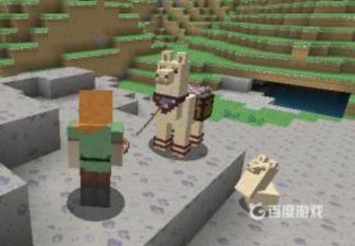 我的世界羊驼有什么用?4