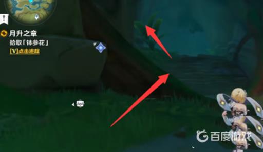 原神须弥的钵参花的山洞怎么进去?24