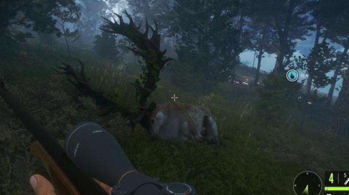 荒野的召唤哪些动物有奇珍异兽_荒野的召唤什么动物最值钱 荒野的召唤哪些动物有奇珍异兽_荒野的召唤什么动物最值钱