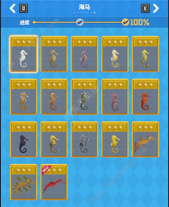 潜水员戴夫员工雇佣推荐3