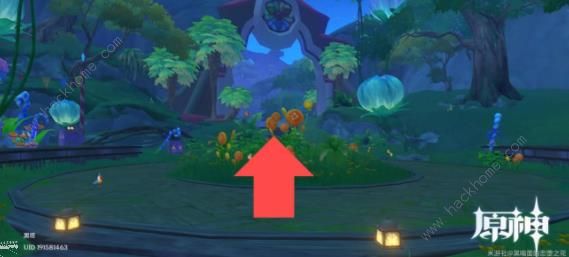 原神琉形蜃境攻略大全2