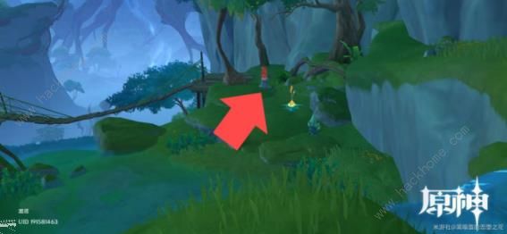 原神琉形蜃境攻略大全5