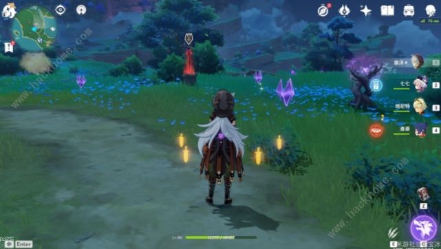 原神电威横织攻略_原神电威横织刷新