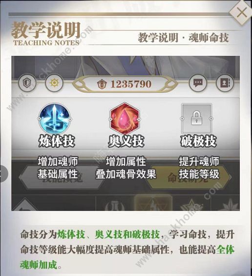 斗罗大陆武魂觉醒命技选择大全2