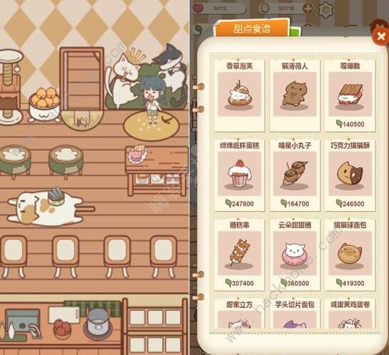 喵呜开门攻略大全3