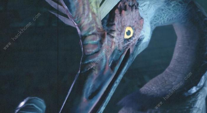 怪物猎人崛起猎犬具选择攻略2