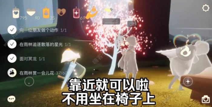 光遇赏花任务怎么做2