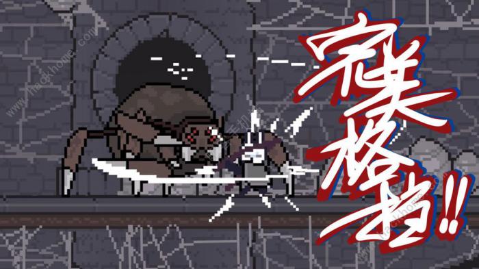 只兔不灭的勇者攻略大全1