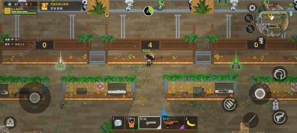 小动物之星奇遇总汇2