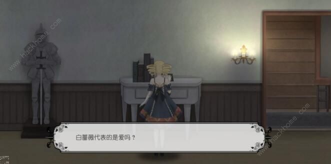 马戏团之夜新手攻略_马戏团之夜功略 马戏团之夜新手攻略_马戏团之夜功略