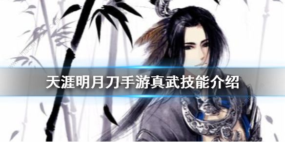 天涯明月刀手游真武技能连招分享1