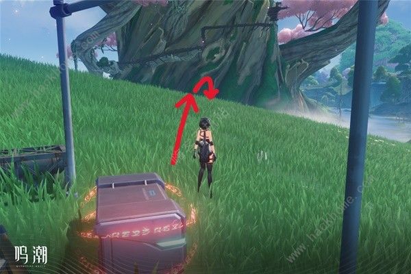 鸣潮无光之森生态调查探索攻略18