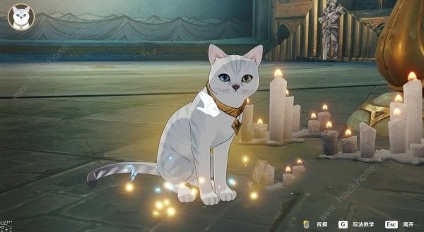 原神水下夜想曲怎么过4