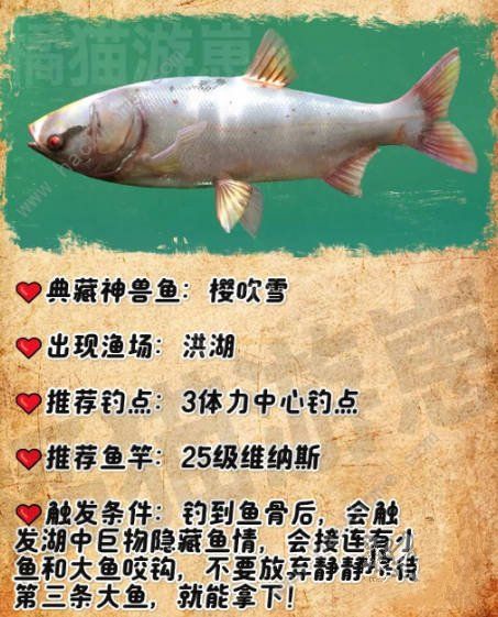 欢乐钓鱼大师典藏神兽鱼有哪些_欢乐钓鱼大师稀有鱼 欢乐钓鱼大师典藏神兽鱼有哪些_欢乐钓鱼大师稀有鱼