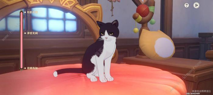 原神茸茸城堡大喵险第四天怎么过3