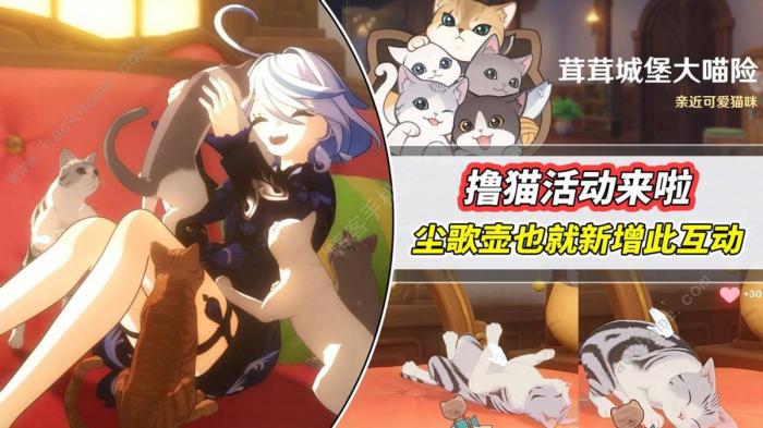 原神茸茸城堡大喵险奖励多少原石_原神茸茸城堡大喵险第五天