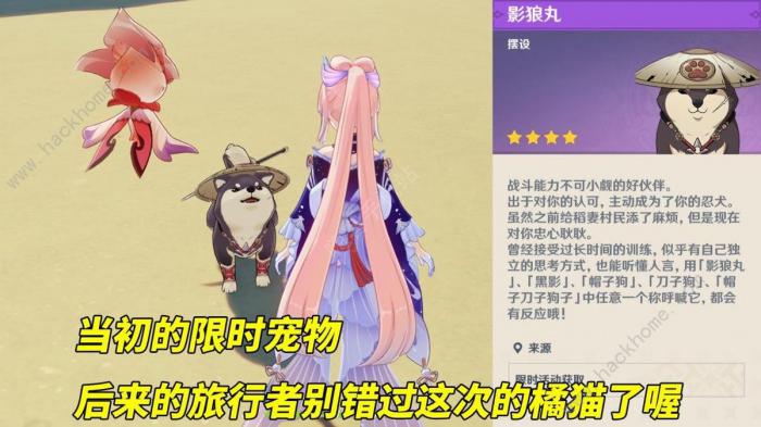 原神茸茸城堡大喵险奖励多少原石3