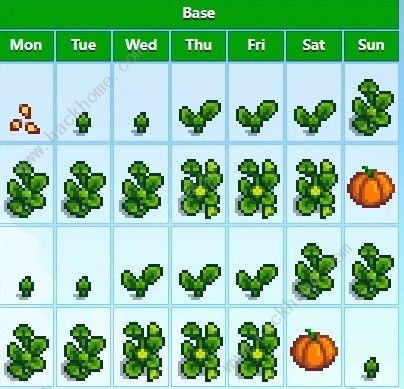 星露谷物语1.6烘干流攻略6