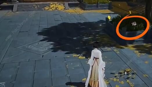 射雕手游长庆楼梦华录全收集攻略10