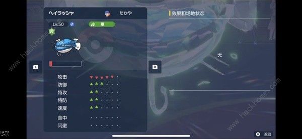 宝可梦朱紫规则F花疗环环配队攻略5