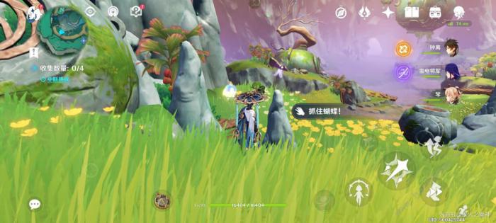 原神灵枢庭五个蝴蝶在哪24