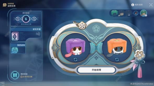 崩坏星穹铁道生命烘焙箱怎么用2