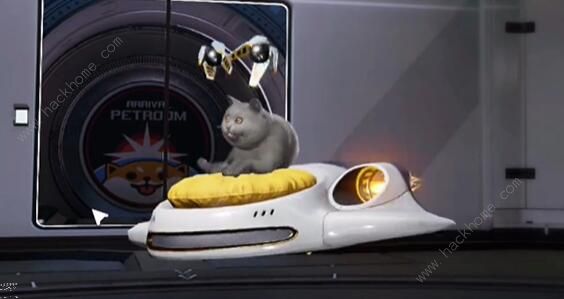 星球重启宙斯猫怎么得4