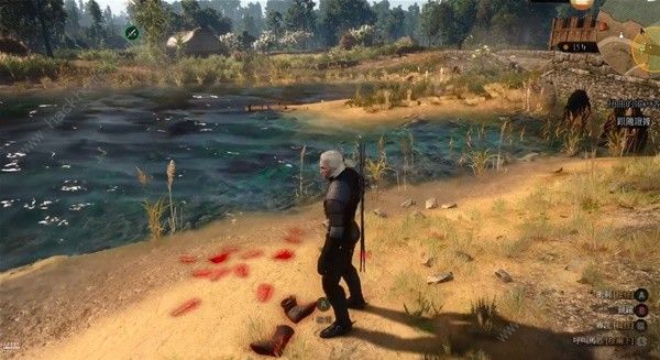 巫师3扭曲的纵火客支线任务怎么做3