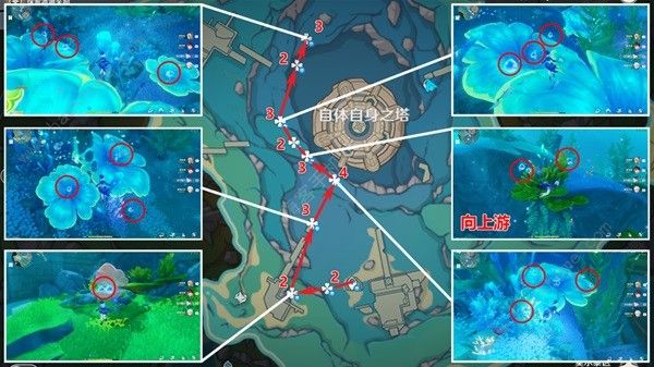 原神娜维娅突破素材收集攻略5