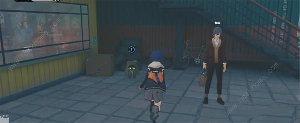 绝区零邦布五兄弟攻略2