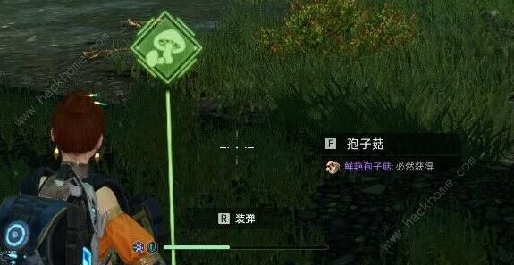 星球重启感染区位置有哪些9