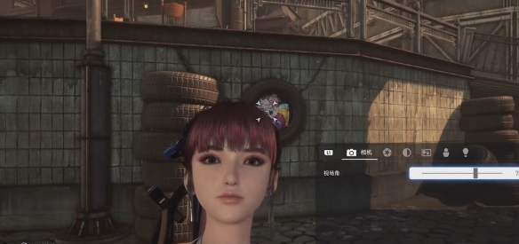 剑星猫咪摄影展全位置攻略6