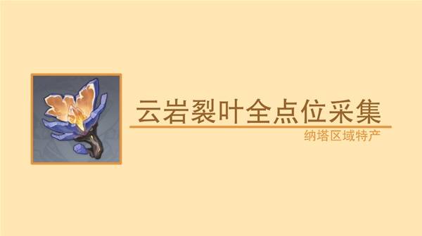 原神云岩裂叶在哪采集_原神岩有什么用
