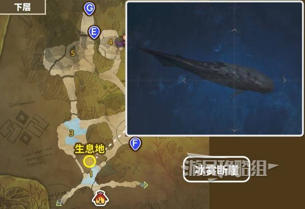 怪物猎人荒野带卵弓鳍鱼不咬钩怎么办1