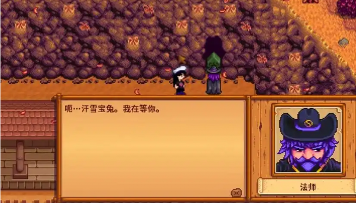 星露谷物语法师好感度怎么刷3