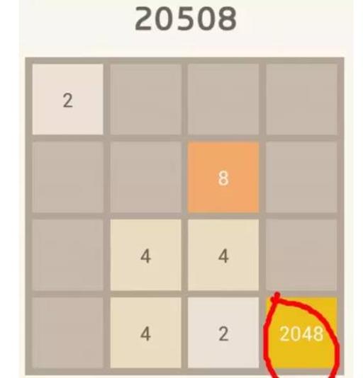 2048无脑玩法是啥?4